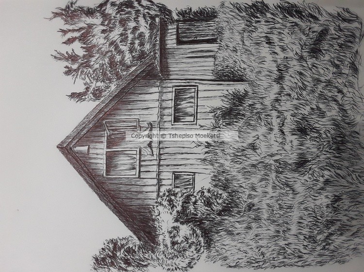 Cabin