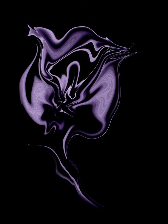 Purple Rose