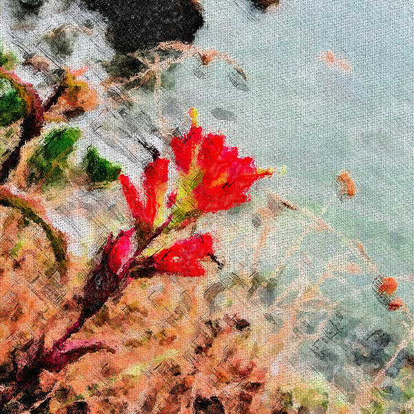 Cliffside bloom