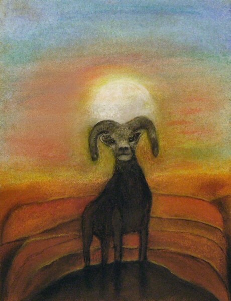 DESERT SHEEP