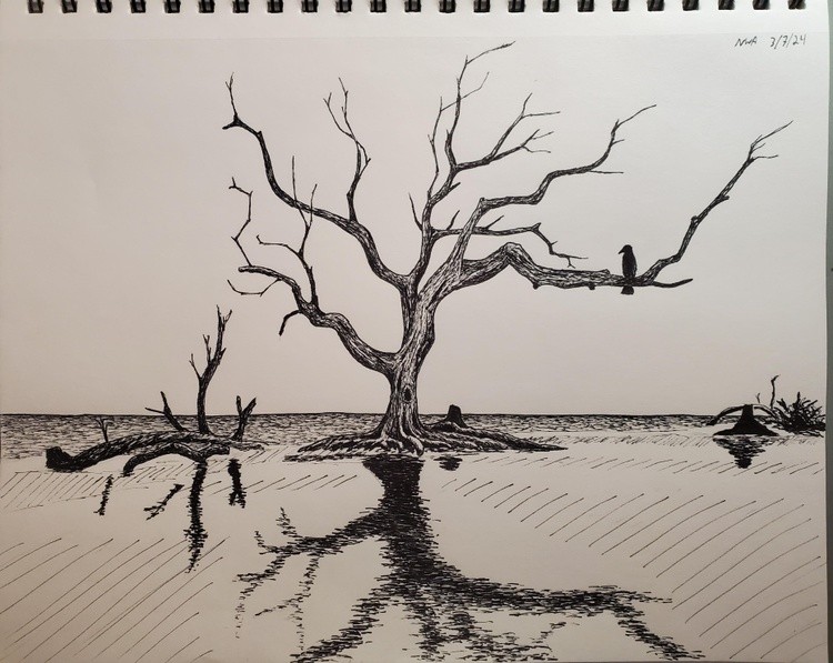Tree on the Beach