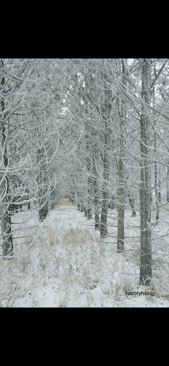 Endless Winter Walk