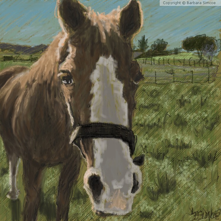 Pastel Horse from Sonoma Change