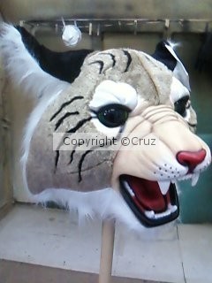 bobcat