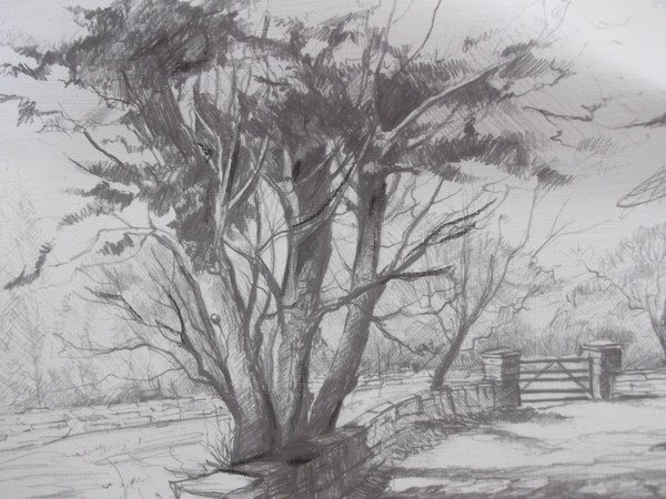 Landscape sketch