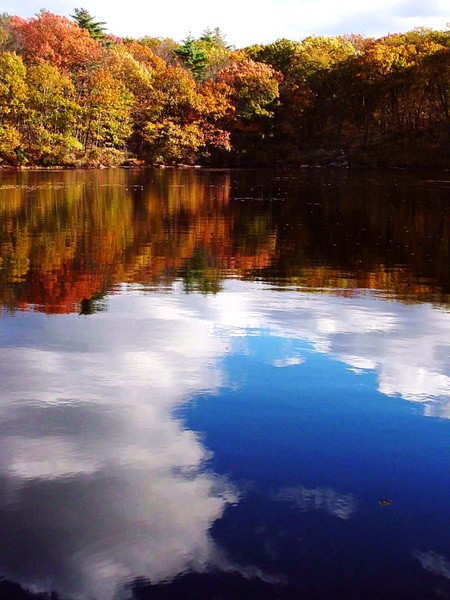 Fall Colors