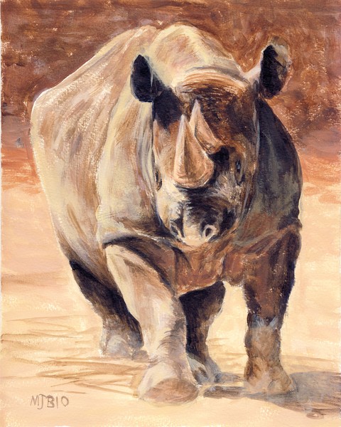 Charging Rhino