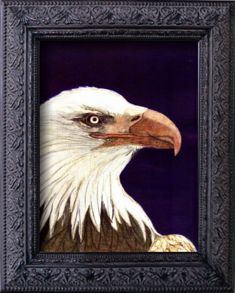 american Eagle