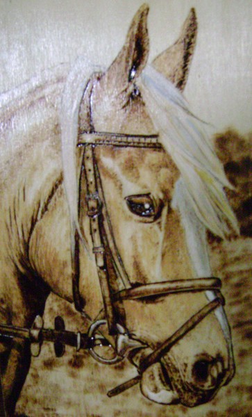 Bridled Horse
