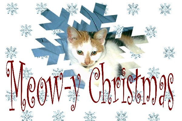 Meow-y Christmas