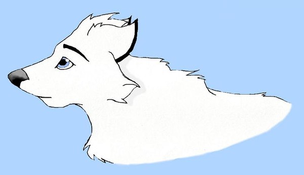 Concept for Aaron