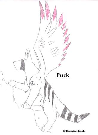 puck