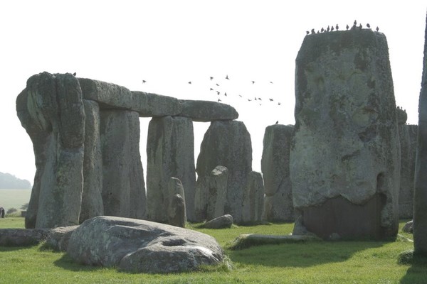 STONEHENGE AND BIRDS
