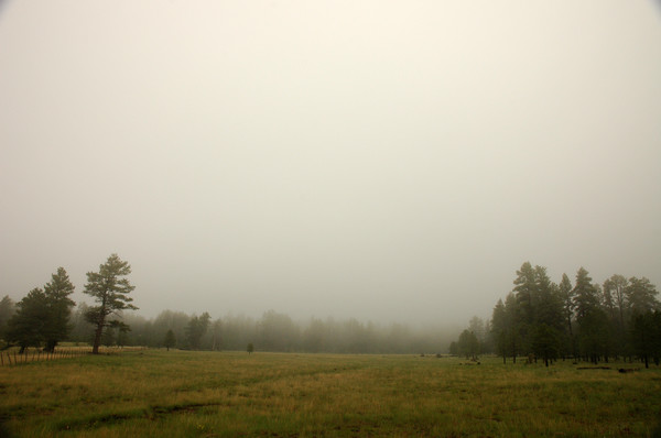 UNDER THE CLOUDS
