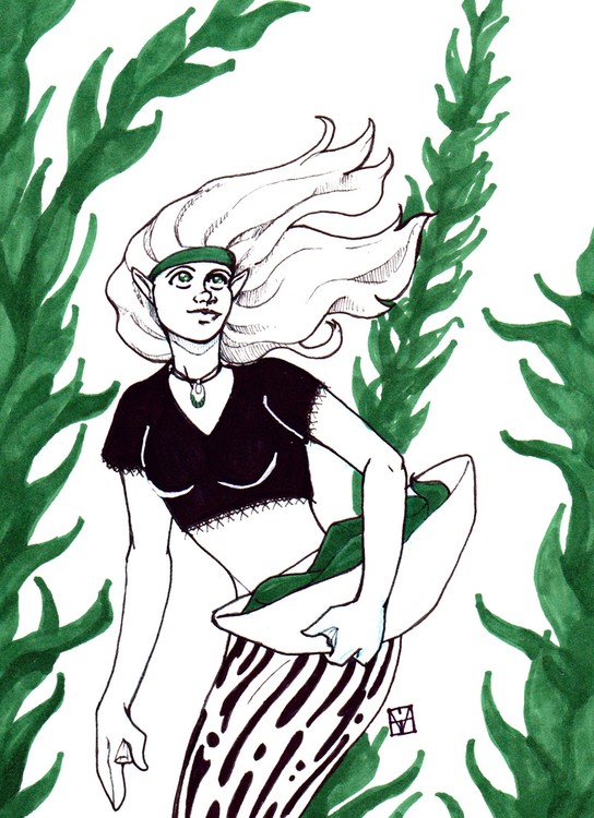 Kelp