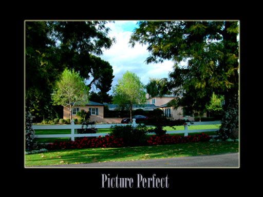 Picture Perfect