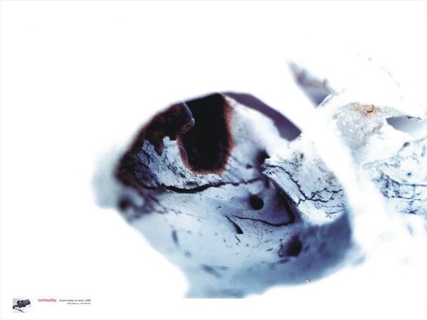 CURIOUSITY-blank of an eye