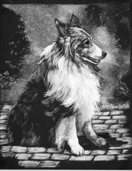 Emily's Sheltie