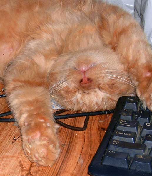 Hard Day's Work