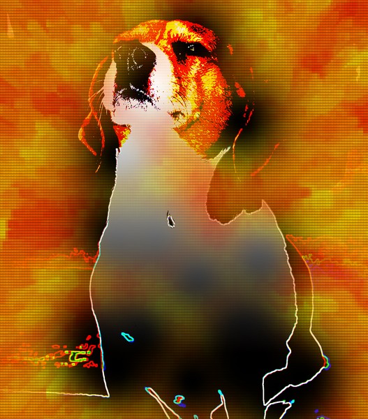 baily the great