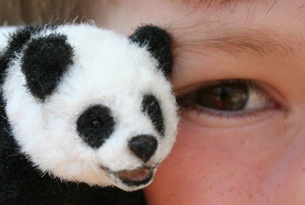 Miniature Panda Bear