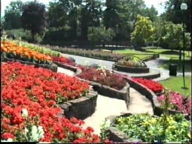 Flower beds at Stapenhill Gardens