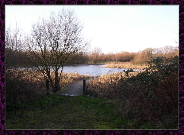 A Winters Walk.