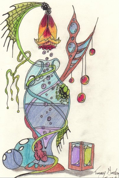 Metamorphosis