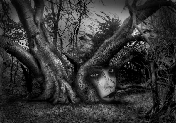 Arbre Effrayant