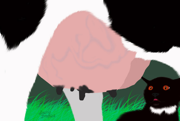 HOLY COW!