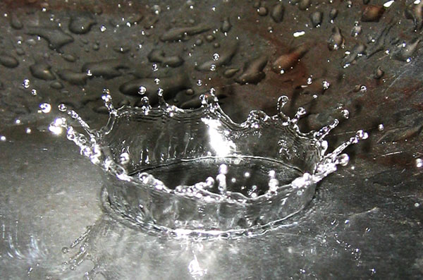 Splash