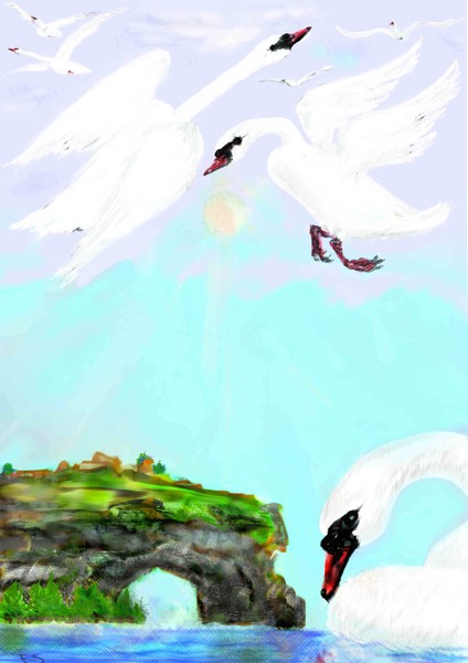 land of birds