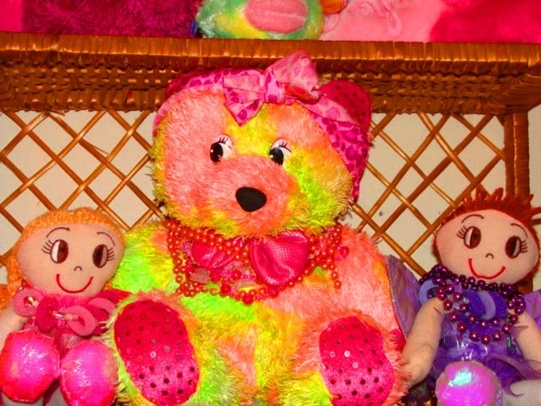 The bears 