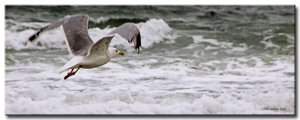 Into the Wind