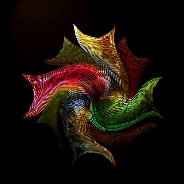 Venus Fly Trap