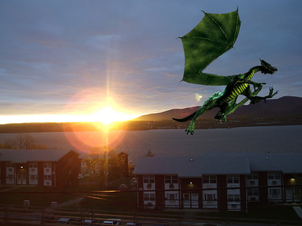 Sunrise Dragon