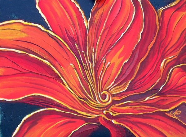 Orange lily