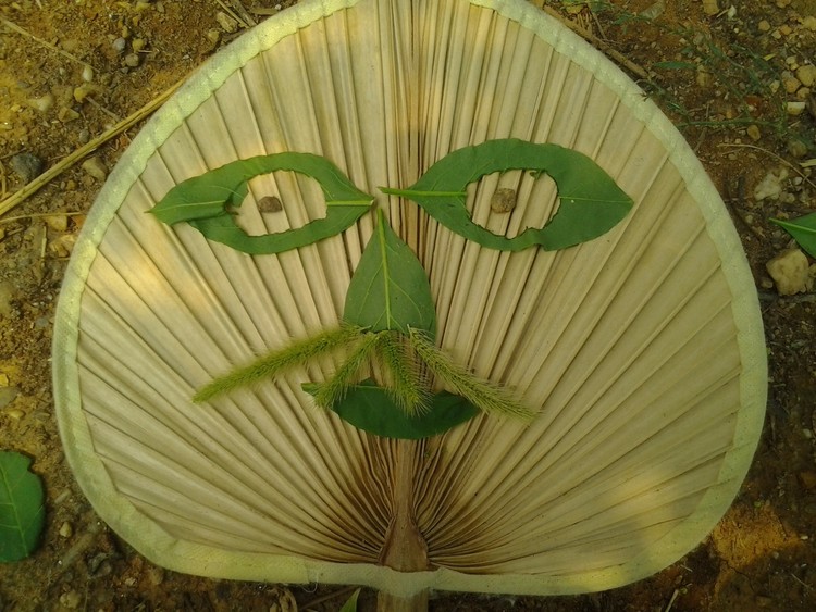 Mr Fan