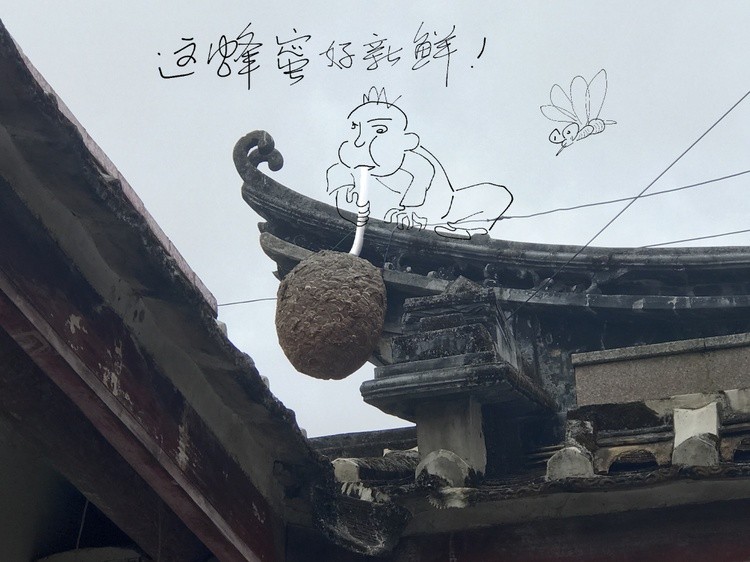 Steeling Honey