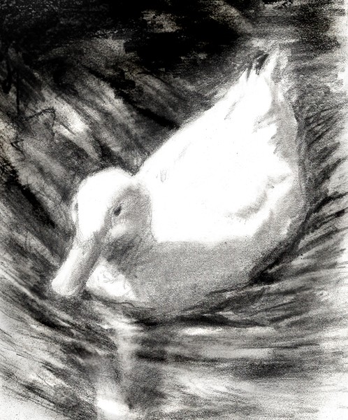 ...it's a duck.