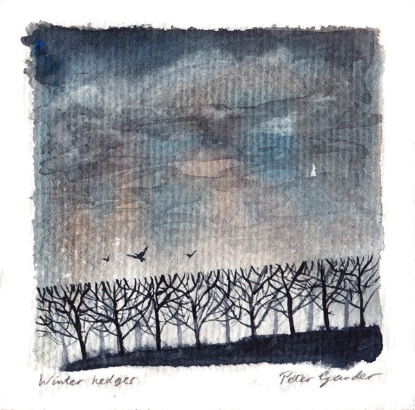 Winter hedges
