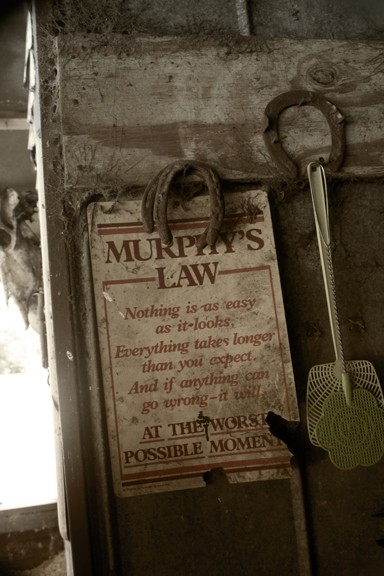 Murphy's Law