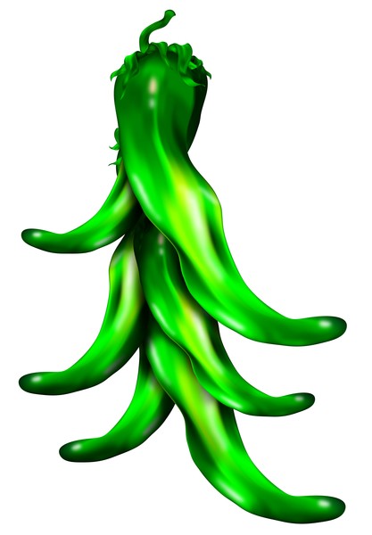 Green Pepper Bunch