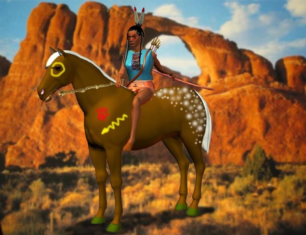 Indian pony