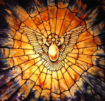 Angel Dove