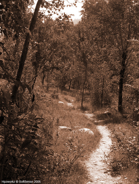 Raah ... The Path