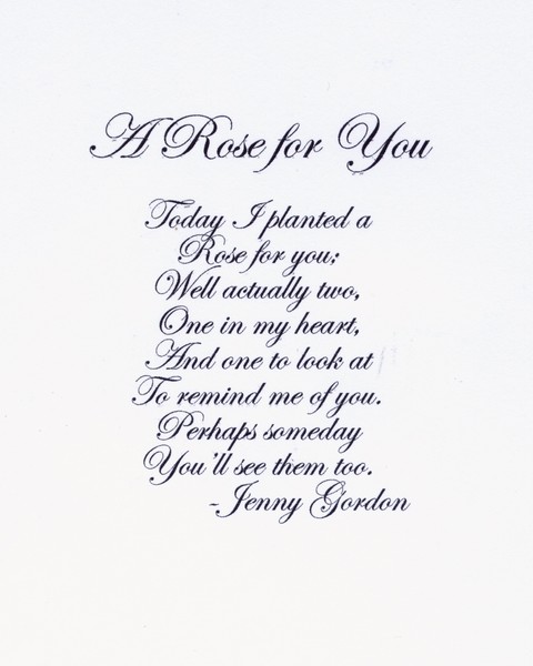 A ROSE for YOU,  Original Poem