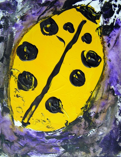 Racing Ladybug