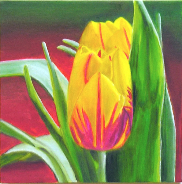Joke's Tulips