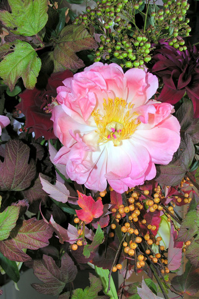 Harvest Bloom